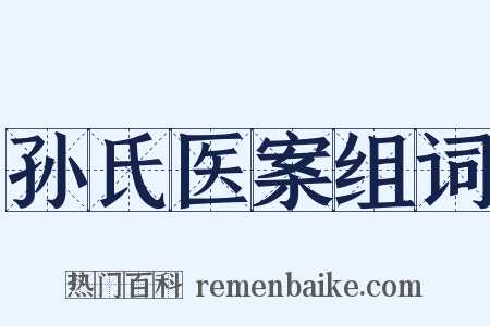 孙氏医案组词是什么意思的图片